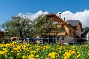 Sauschneiderhof - Wieland - Mariapfarr - SICHER Urlaub am Bio-Bauernhof