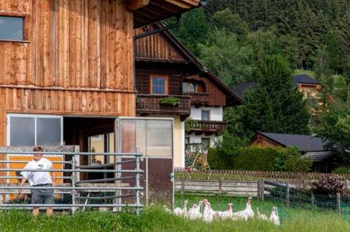 Sauschneiderhof Mariapfarr - Unsere Tiere 